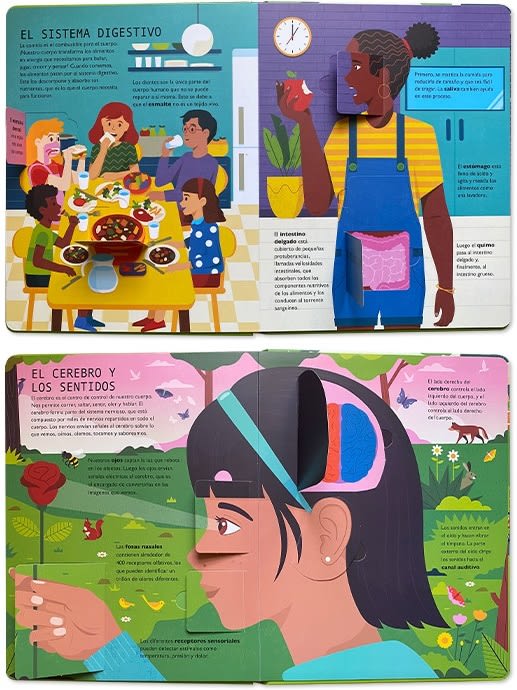 50 CURIOSIDADES SOBRE EL CUERPO HUMANO3