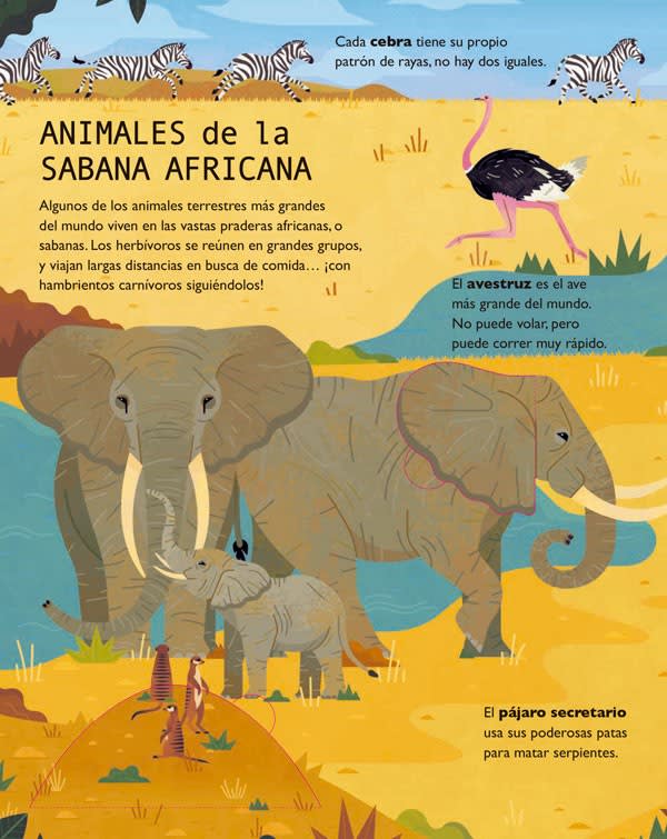 50 CURIOSIDADES SOBRE LOS ANIMALES3