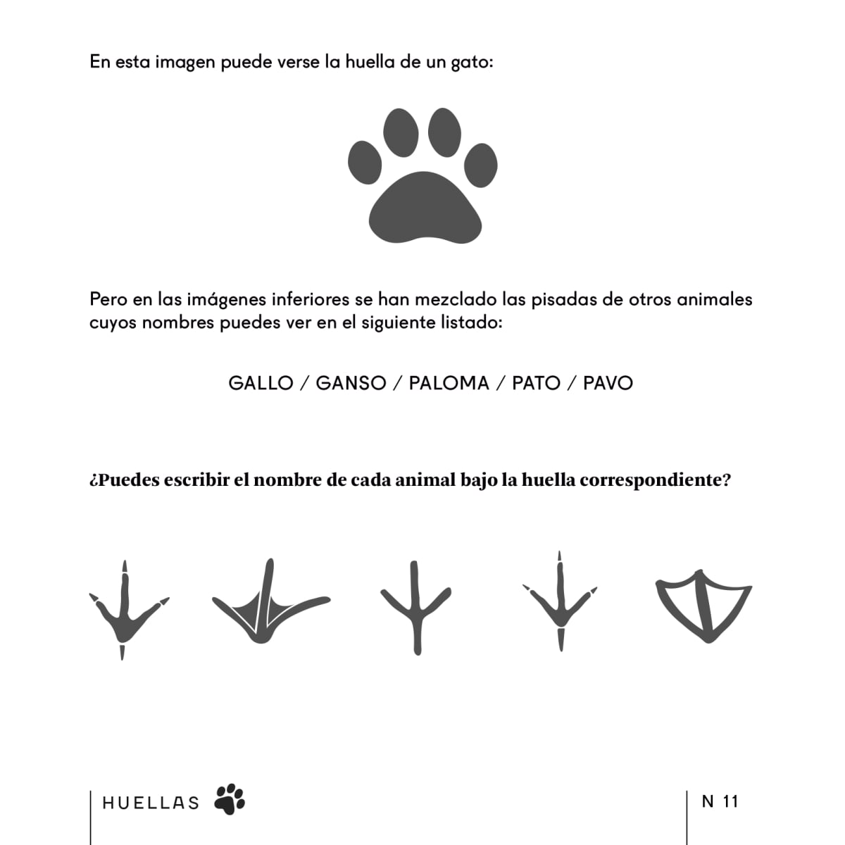 PASATIEMPO PARA AMANTES DE LOS GATOS4