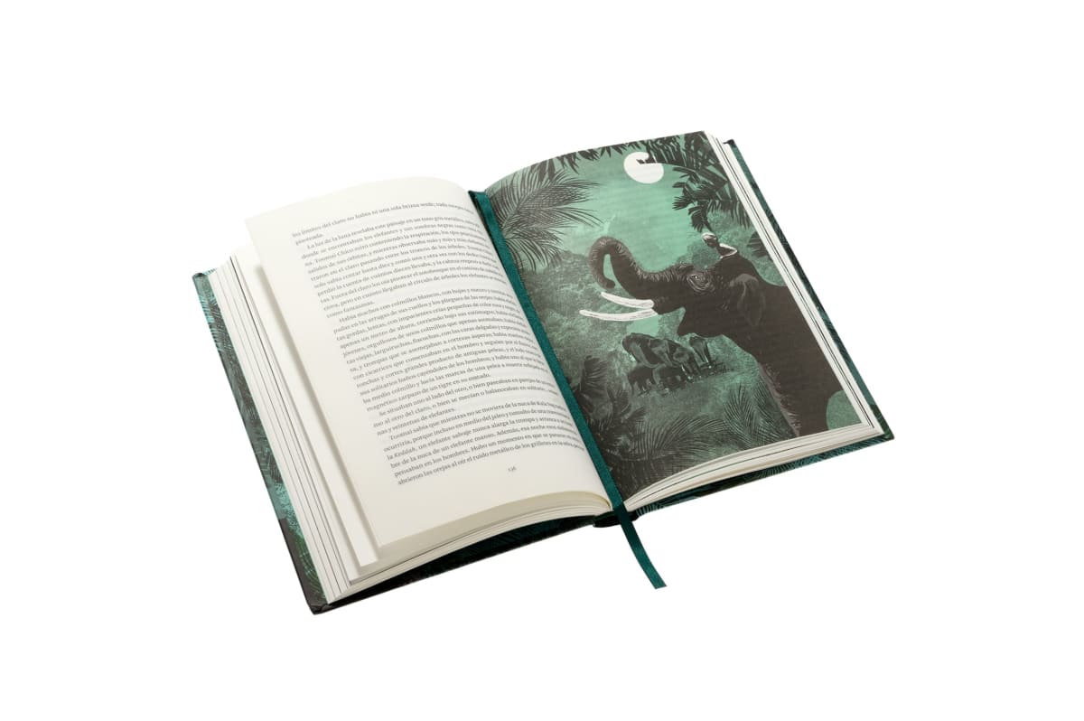 EL LIBRO DE LA SELVA1