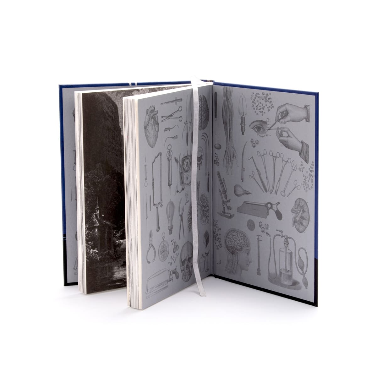 FRANKENSTEIN - ALMA CLÁSICOS ILUSTRADOS3