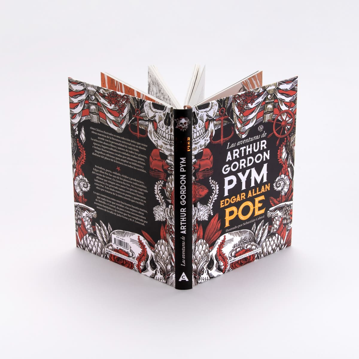 LAS AVENTURAS DE ARTHUR GORDON PYM4