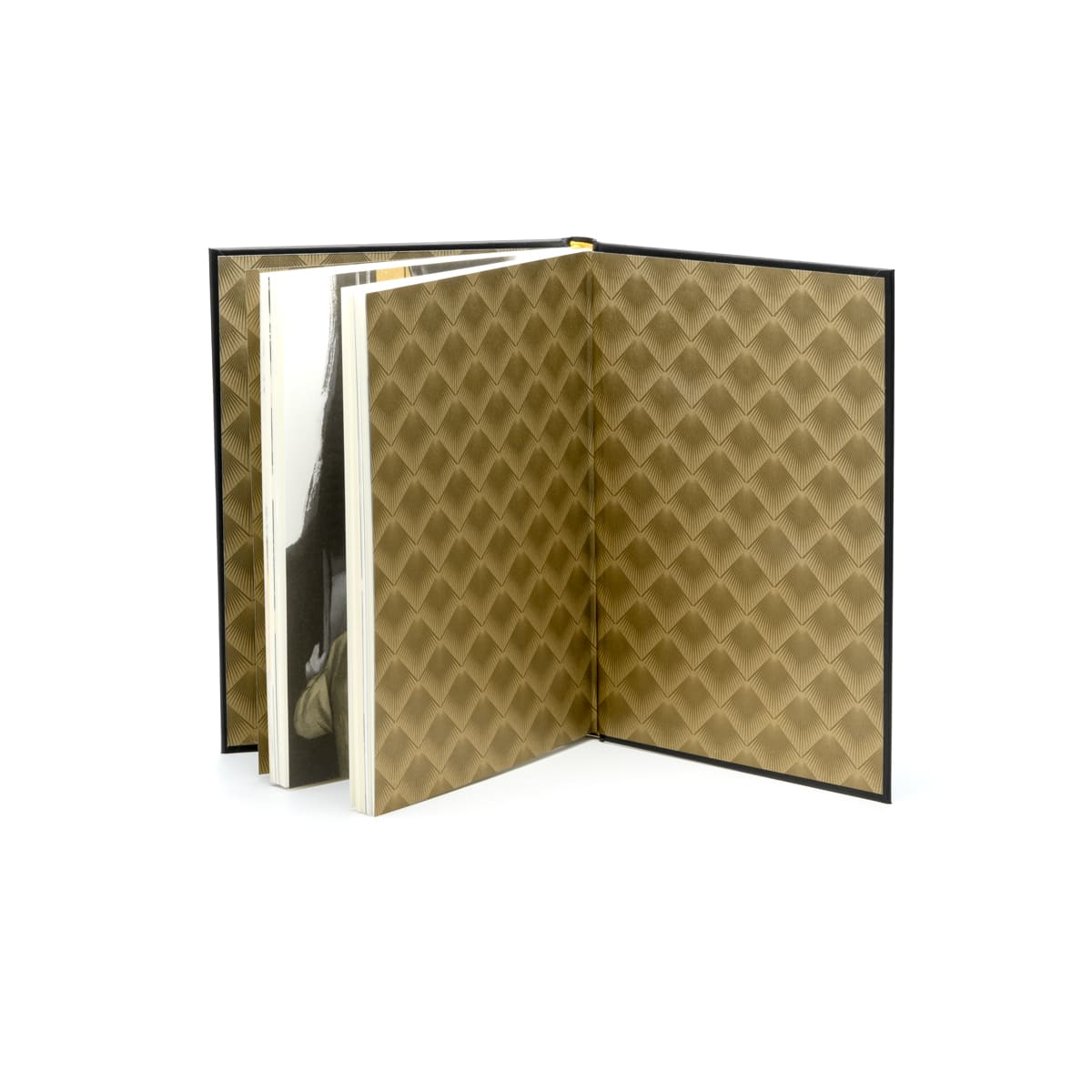 EL GRAN GATSBY - ALMA CLÁSICOS ILUSTRADOS3