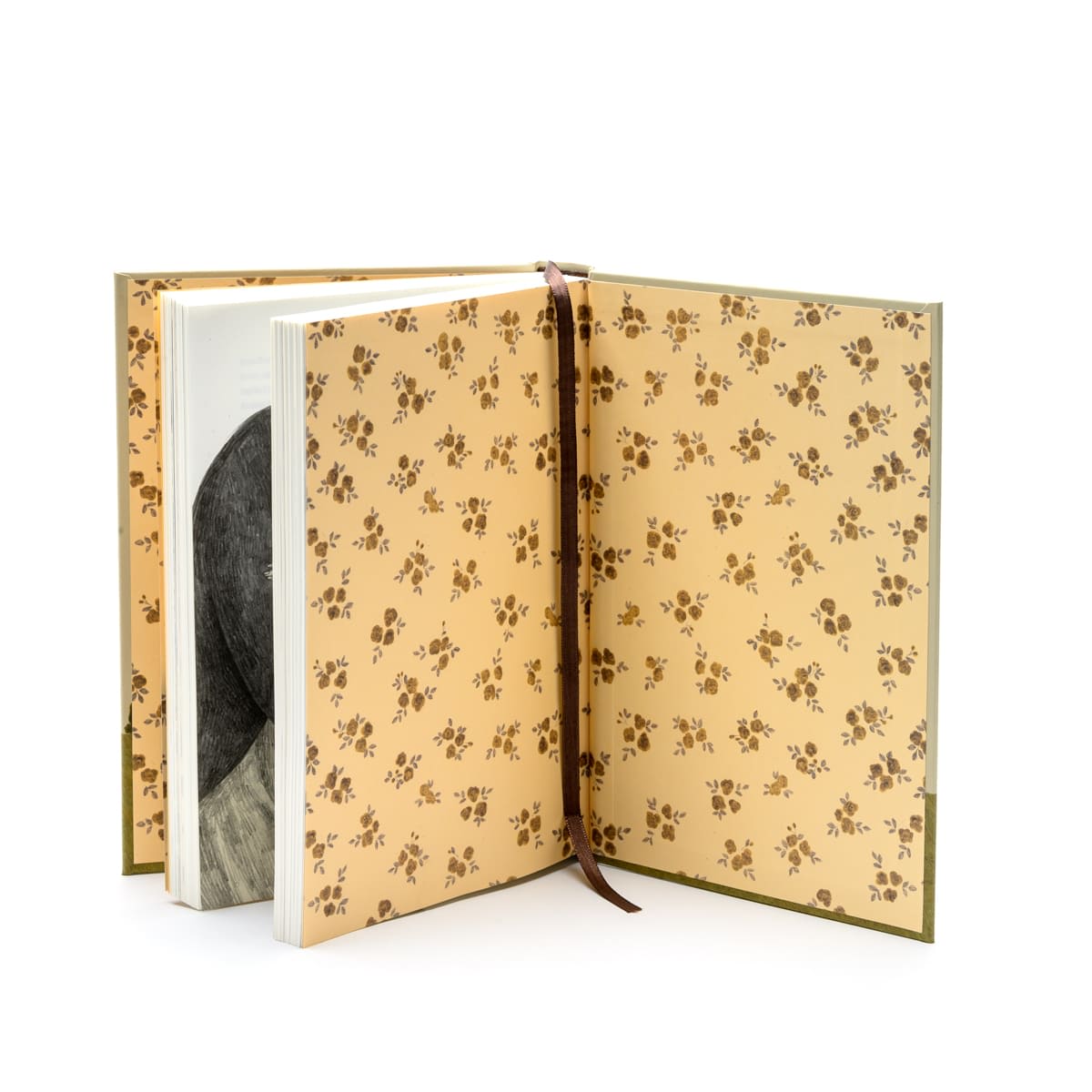 MADAME BOVARY - ALMA CLÁSICOS ILUSTRADOS4