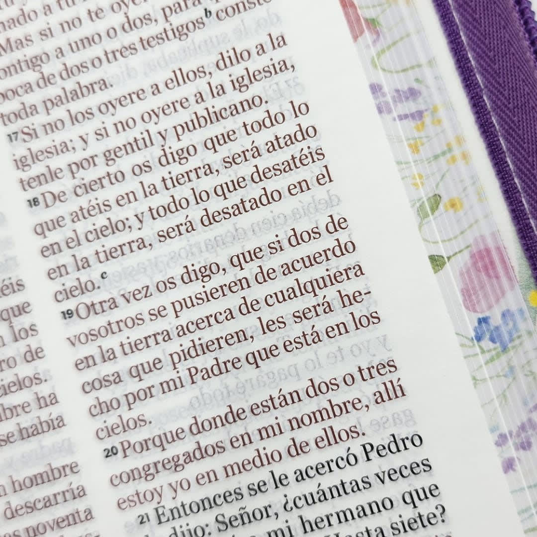 BIBLIA RVR1960 TAMAÑO MANUAL LETRA GRANDE CON CIERRE - SERIE EMOCIÓN PRIMAVERAL3