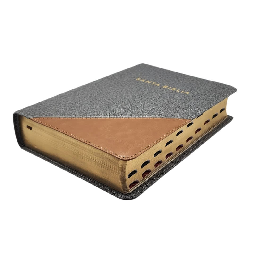 BIBLIA RVR1960 LETRA GIGANTE TAMAÑO MANUAL CON ÍNDICE2