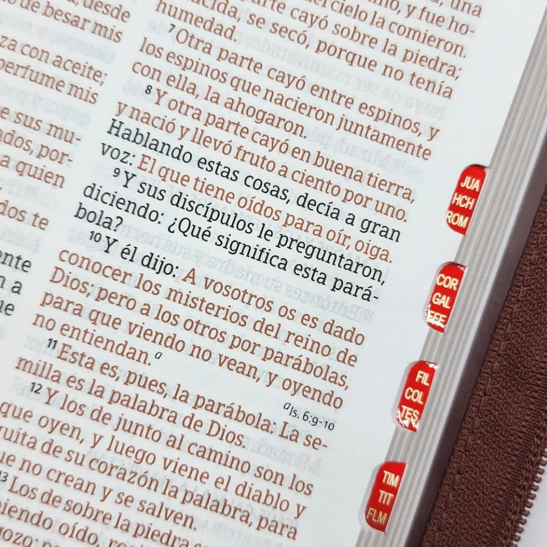 BIBLIA RVR1960 LETRA GRANDE TAMAÑO MANUAL CON ÍNDICE Y CIERRE3