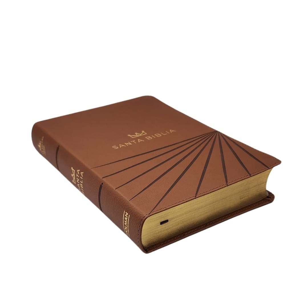 BIBLIA RVR1960 LETRA GRANDE TAMAÑO MANUAL CON ÍNDICE2