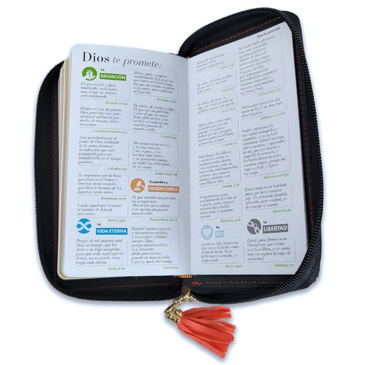 BIBLIA RVR1960 COMPACTA CON CIERRE - EDICIÓN CHEQUERA2