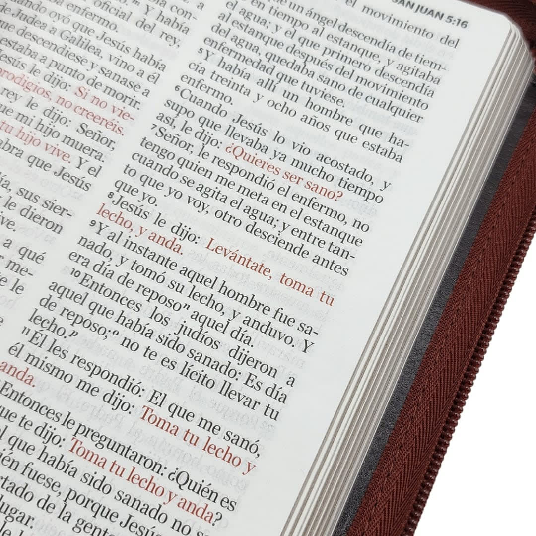 BIBLIA RVR1960 LETRA GRANDE TAMAÑO MANUAL CON CIERR3
