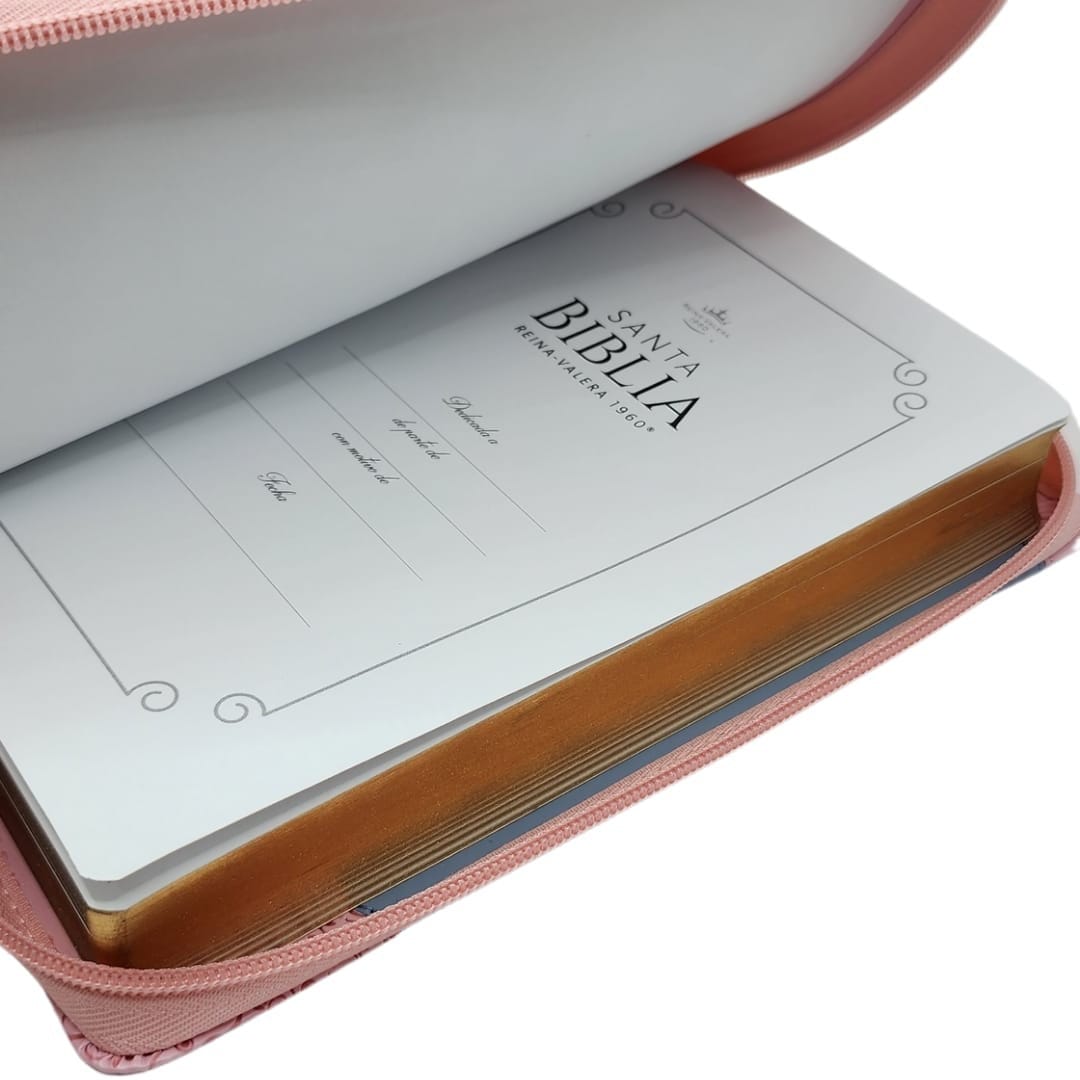 BIBLIA RVR1960 LETRA GRANDE TAMAÑO MANUAL2