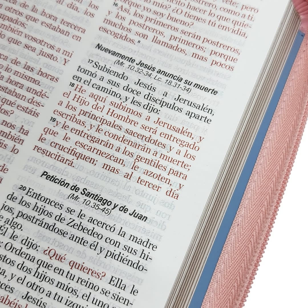 BIBLIA RVR1960 LETRA GRANDE TAMAÑO MANUAL3