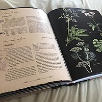 PLANTAS CON PODERES MAGICOS2