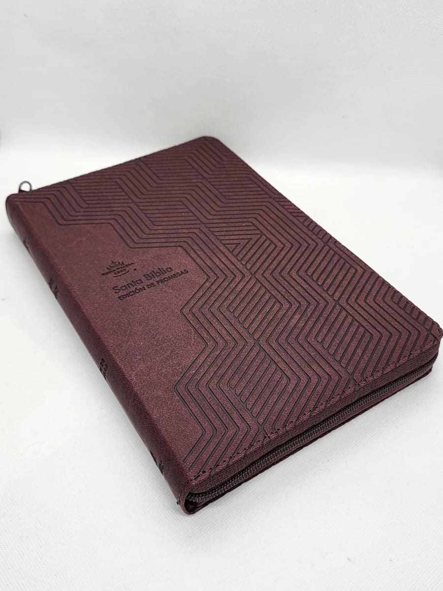 BIBLIA EDICIÓN DE PROMESAS RVR1960 LETRA GIGANTE CON CIERRE. CAFÉ2