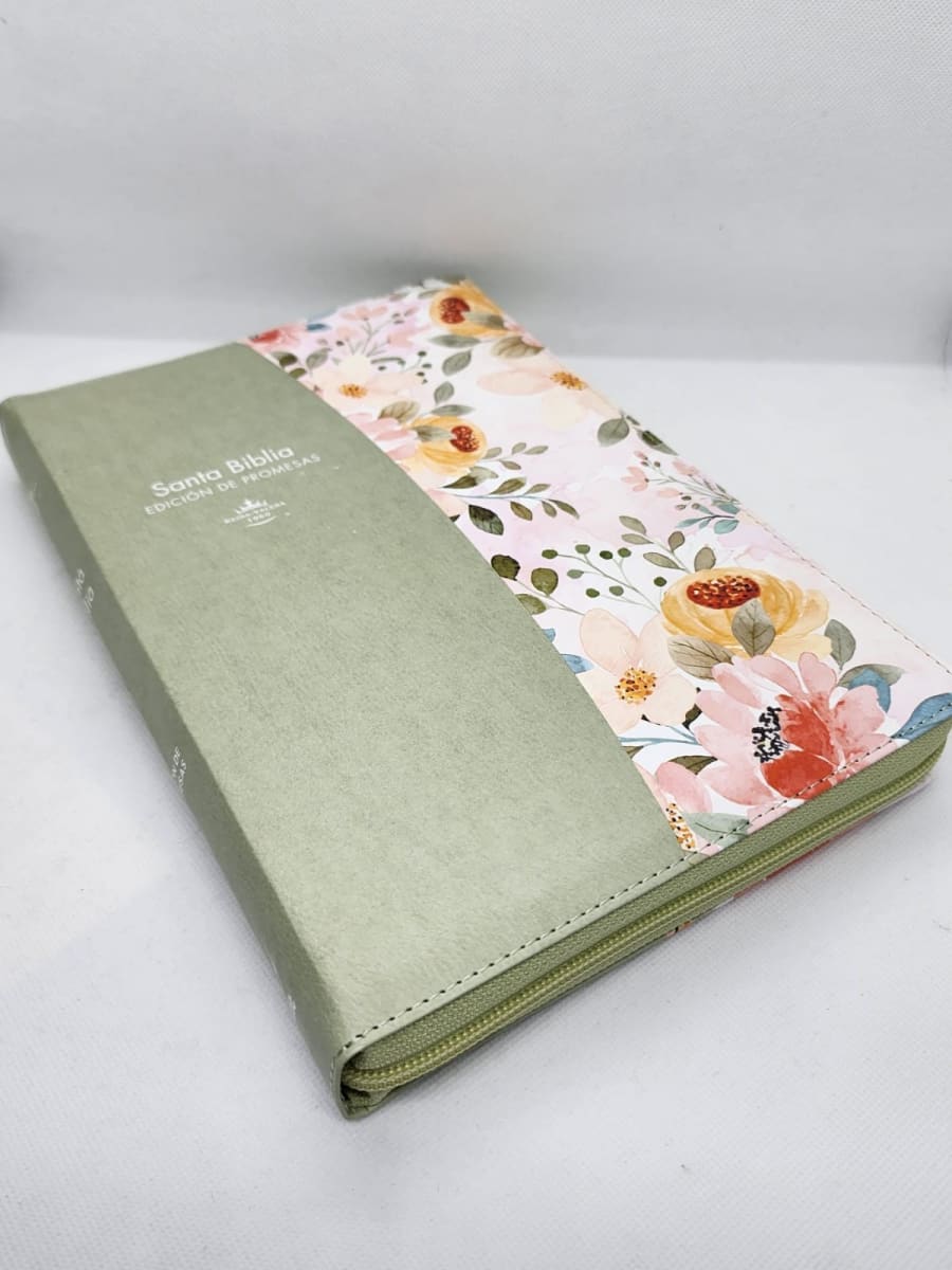 BIBLIA EDICIÓN DE PROMESAS RVR1960 LETRA GIGANTE CON CIERRE. VERDE2
