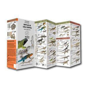 REPTILES DE CHILE CENTRAL DESPLEGABLE1