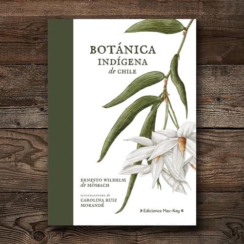 BOTÁNICA INDÍGENA DE CHILE1