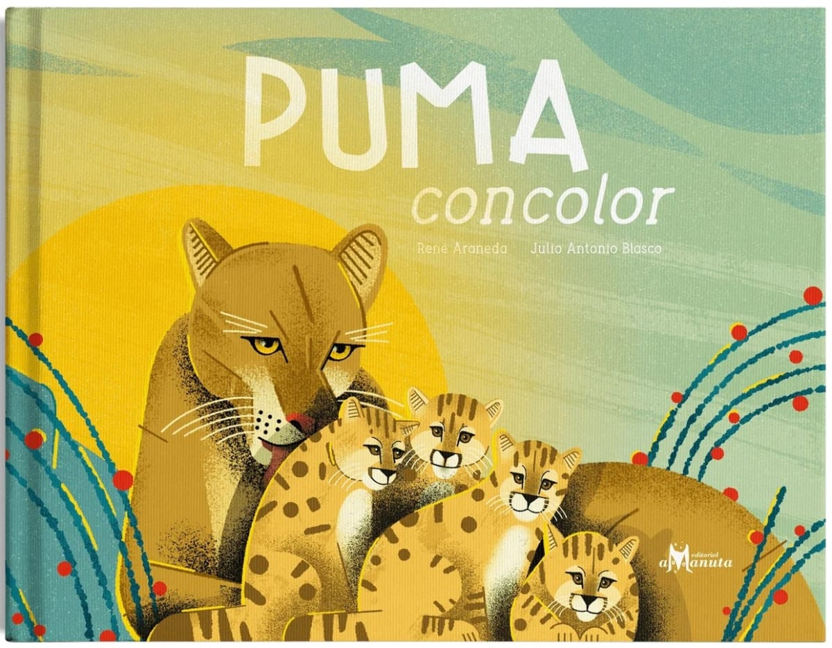 PUMA CONCOLOR1