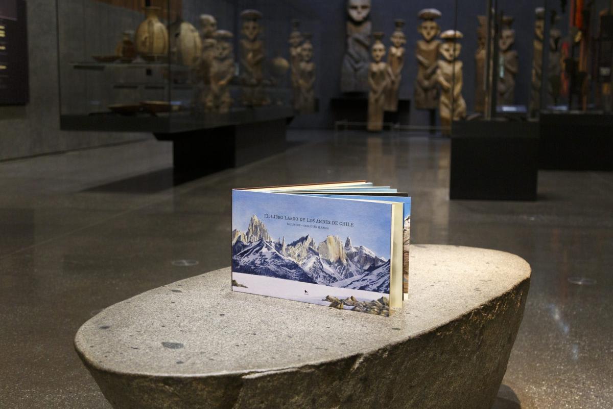 EL LIBRO LARGO DE LOS ANDES DE CHILE1