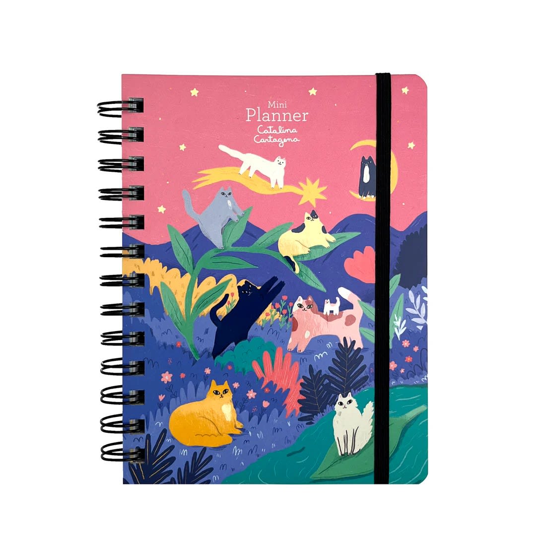 MINI PLANNER CATALINA CARTAGENA: GATOS1