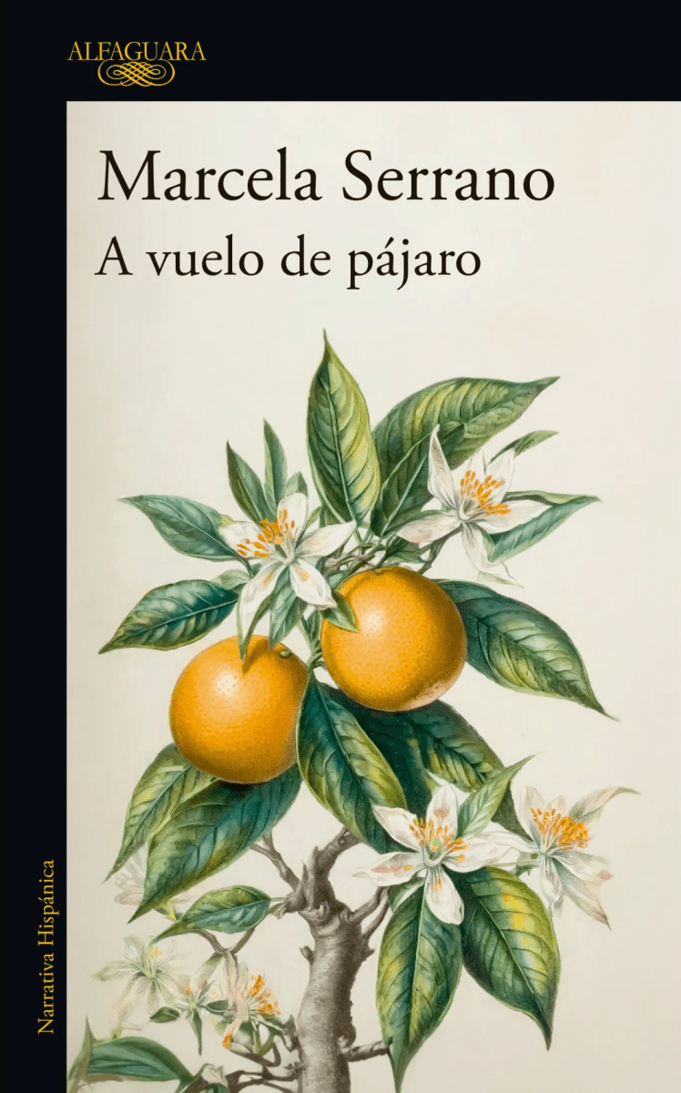 A VUELO DE PÁJARO1