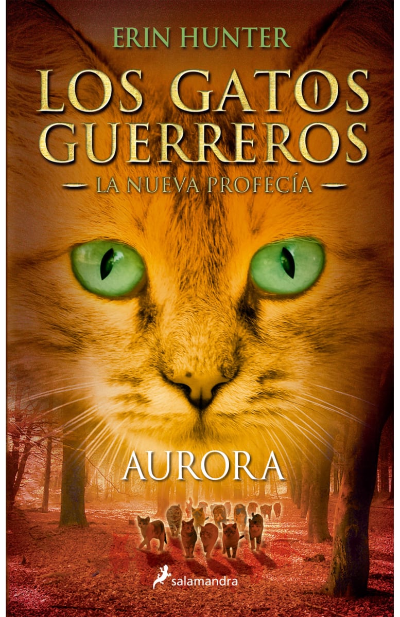 LOS GATOS GUERREROS AURORA1