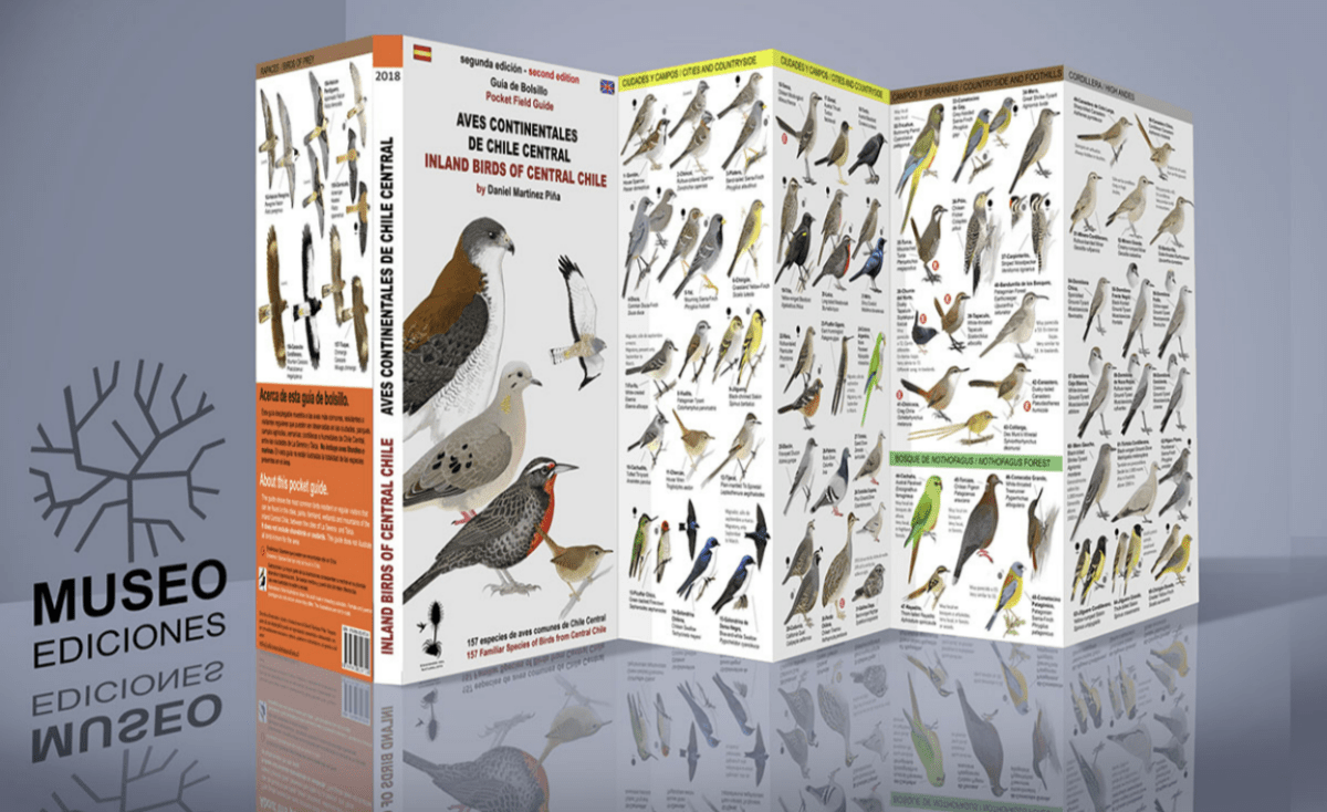 HUEVOS Y NIDOS DE LAS AVES DE CHILE DESPLEGABLE2