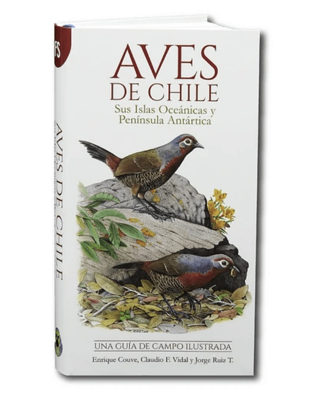 AVES DE CHILE: UNA GUIA DE CAMPO ILUSTRADA1