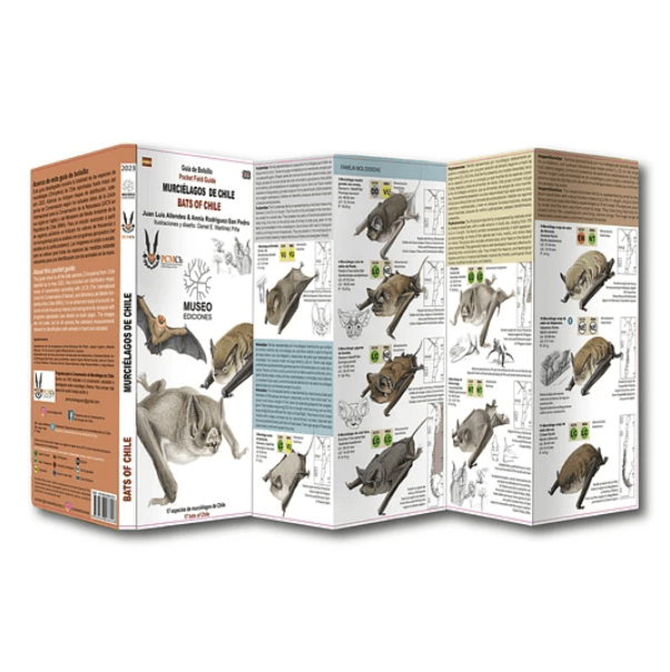 MURCIÉLAGOS DE CHILE DESPLEGABLE1