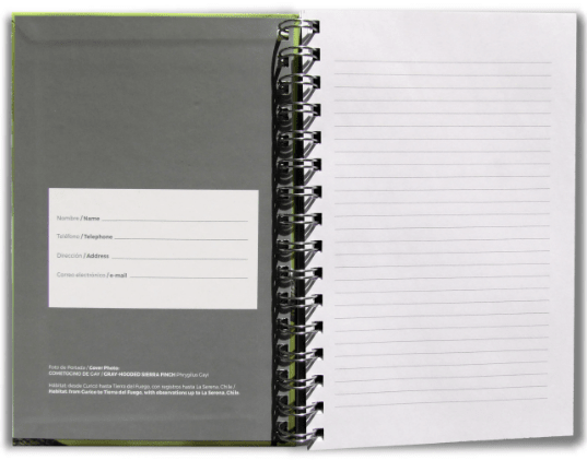 CUADERNO AVES DE CHILE3