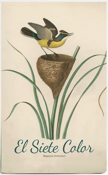 CUADERNO DE VIAJE CHICO EL SIETE COLOR1