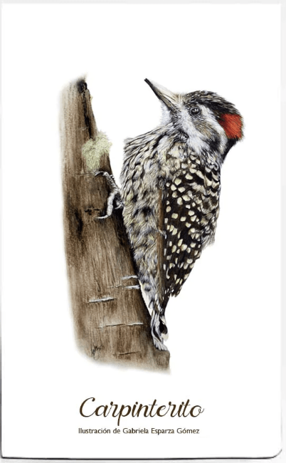 CUADERNO DE VIAJE CARPINTERO1