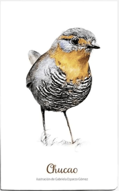 CUADERNO DE VIAJE CHUCAO1