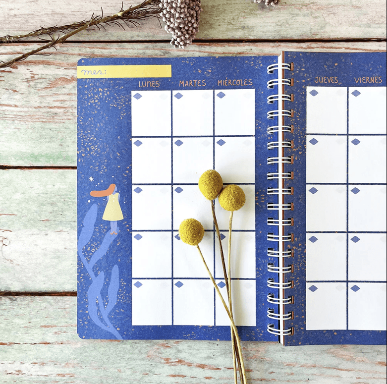JOURNAL KARINA COCQ5