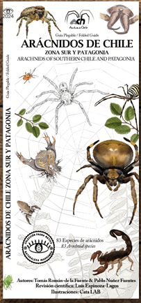 ARÁCNIDOS DE CHILE: ZONA SUR Y PATAGONIA1