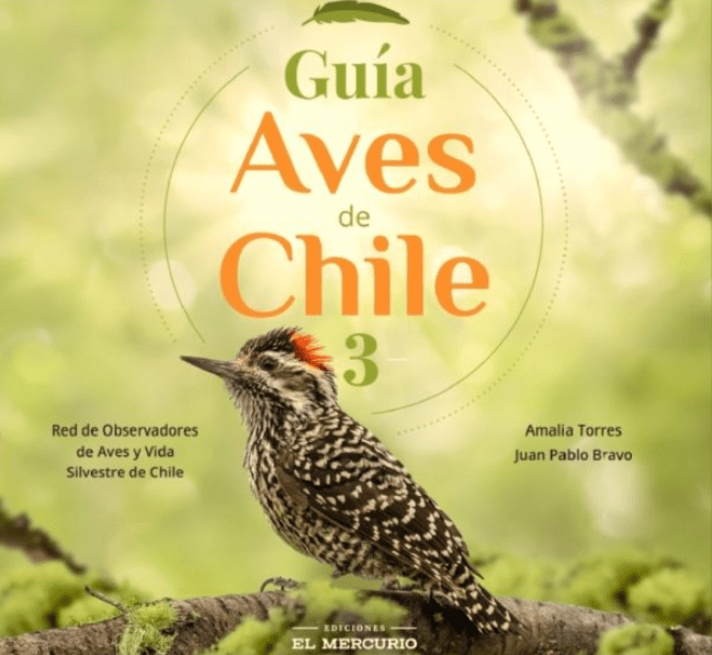 GUÍA AVES DE CHILE 31
