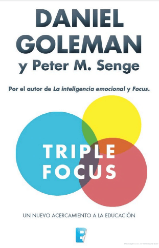 TRIPLE FOCUS. UN NUEVO ACERCAMIENTO A LA EDUCACIÓN1