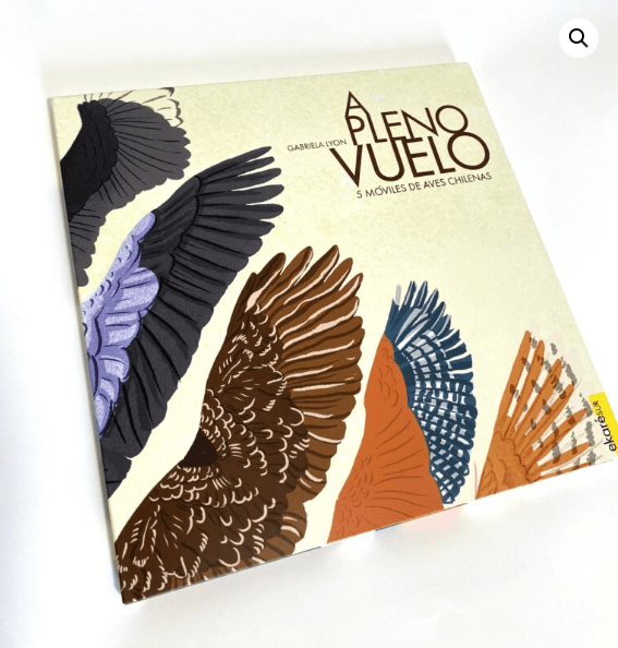 A PLENO VUELO1