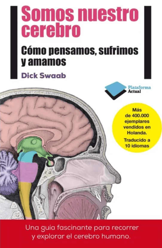 SOMOS NUESTRO CEREBRO1