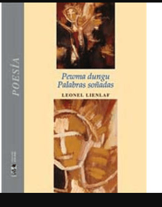 PEWMA DUNGU / PALABRAS SOÑADAS1