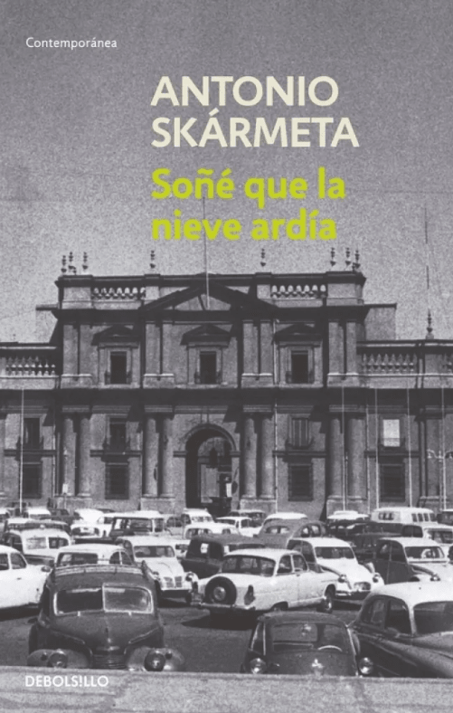 SOÑÉ QUE LA NIEVE ARDÍA1