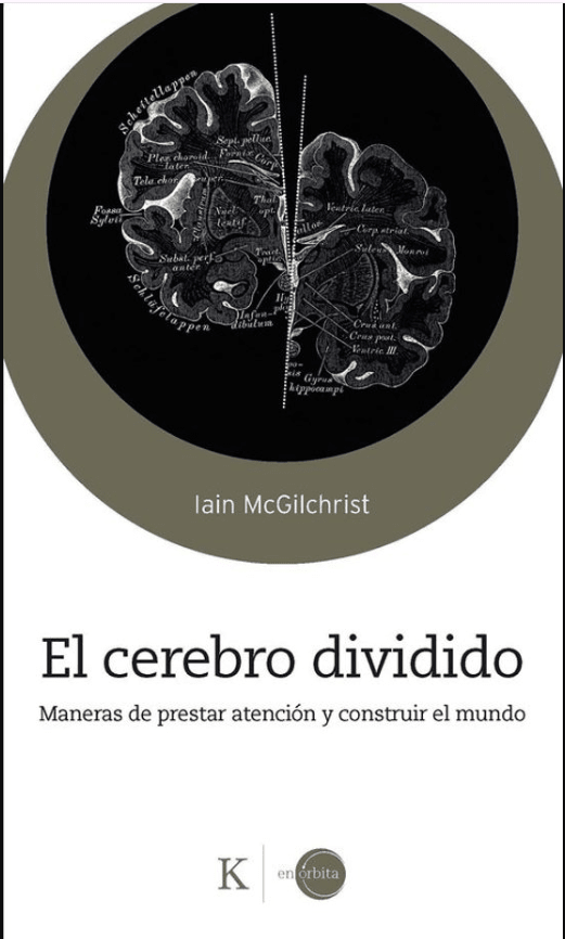 EL CEREBRO DIVIDIDO1
