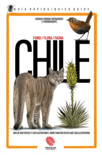 CHILE, UNA GUÍA RÁPIDA1