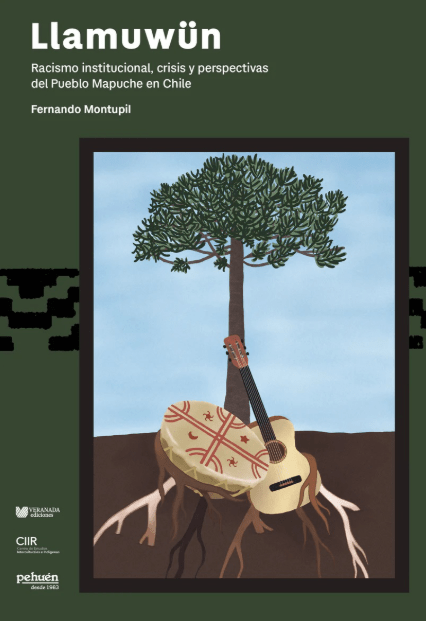 LLAMUWÜN. RACISMO INSTITUCIONAL, CRISIS Y PERSPECTIVAS DEL PUEBLO MAPUCHE EN CHILE1