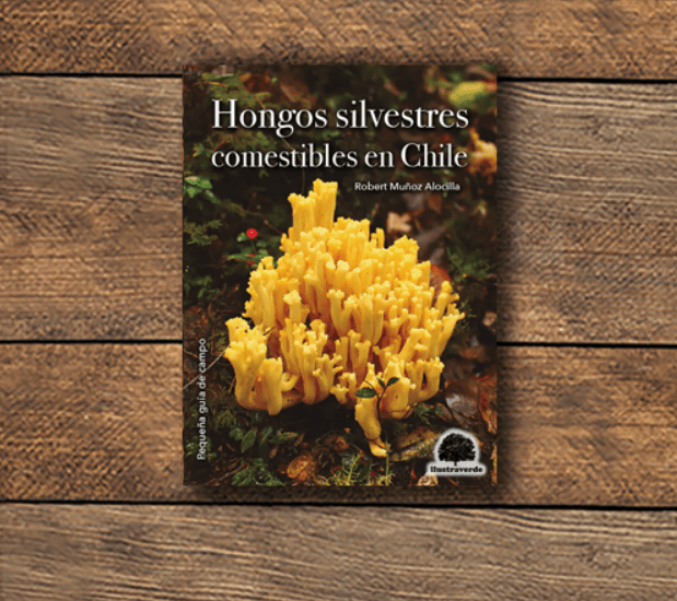 HONGOS SILVESTRES COMESTIBLES EN CHILE1
