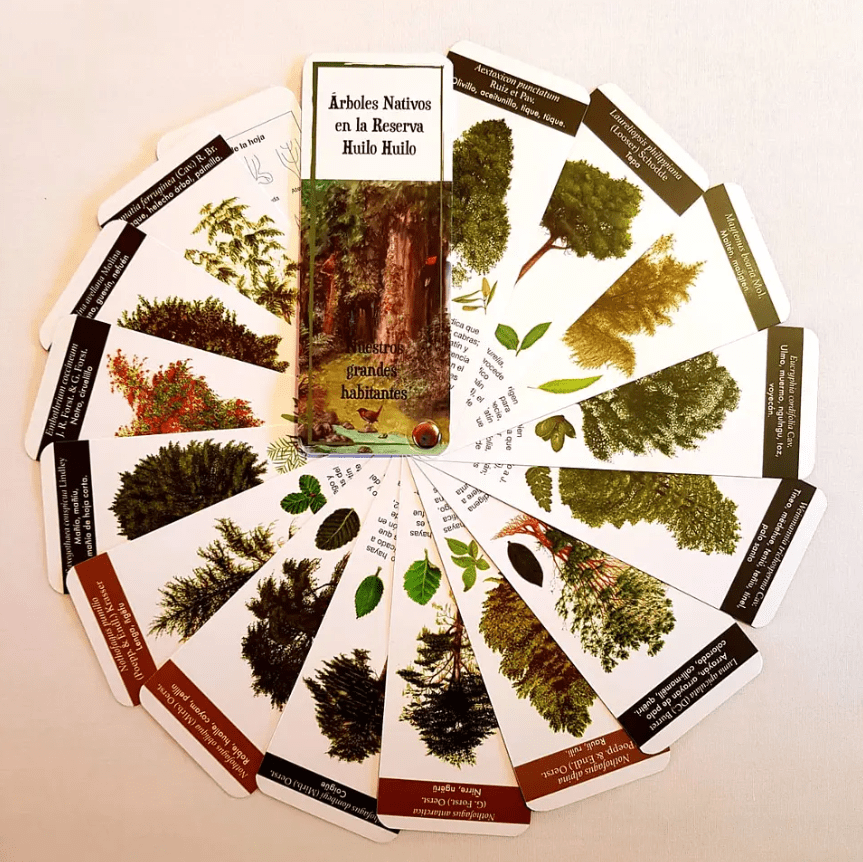 PANTONERAS ARBOLES NATIVOS1