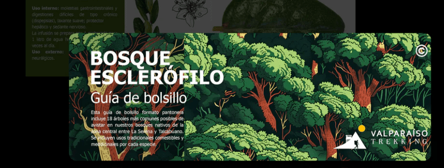 PANTONERA BOSQUE ESCLERÓFILO1