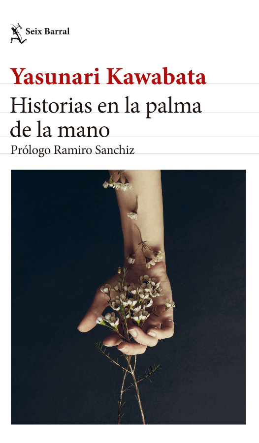 HISTORIAS EN LA PALMA DE LA MANO1