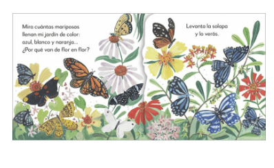 LAS MARIPOSAS DE MI JARDIN2