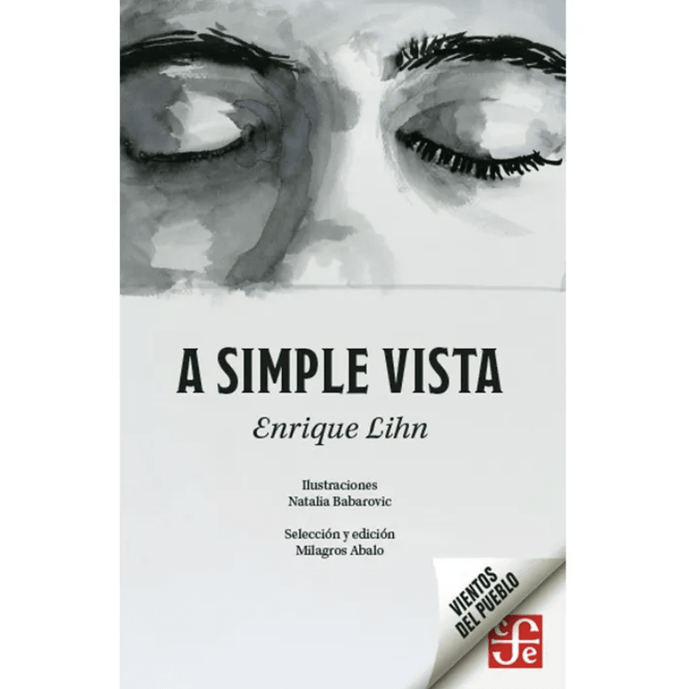A SIMPLE VISTA1